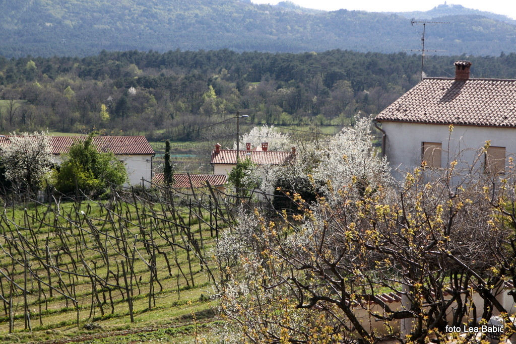 Utrinki s strokovne ekskurzije na Kras