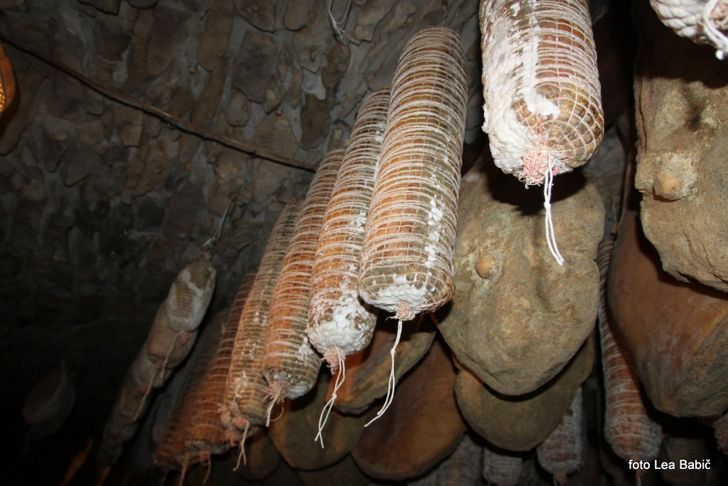 Utrinki s strokovne ekskurzije na Kras