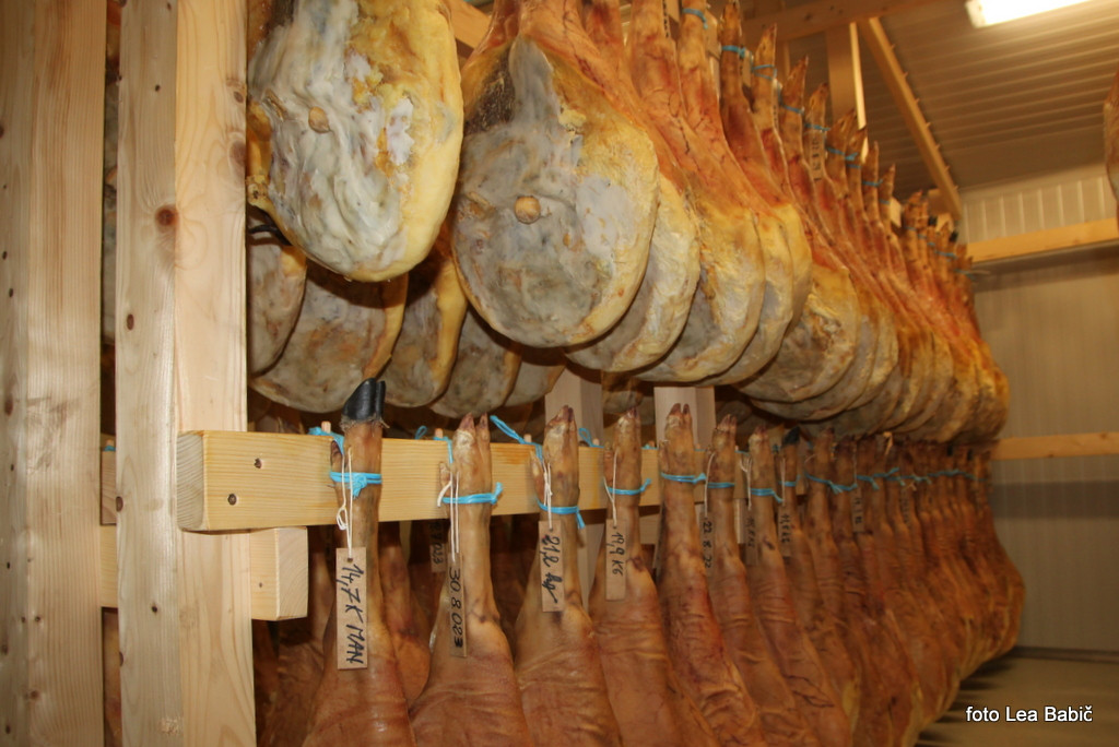 Utrinki s strokovne ekskurzije na Kras