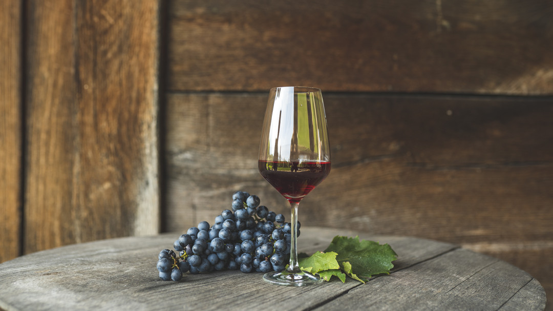 Pričetek projekta Interwine