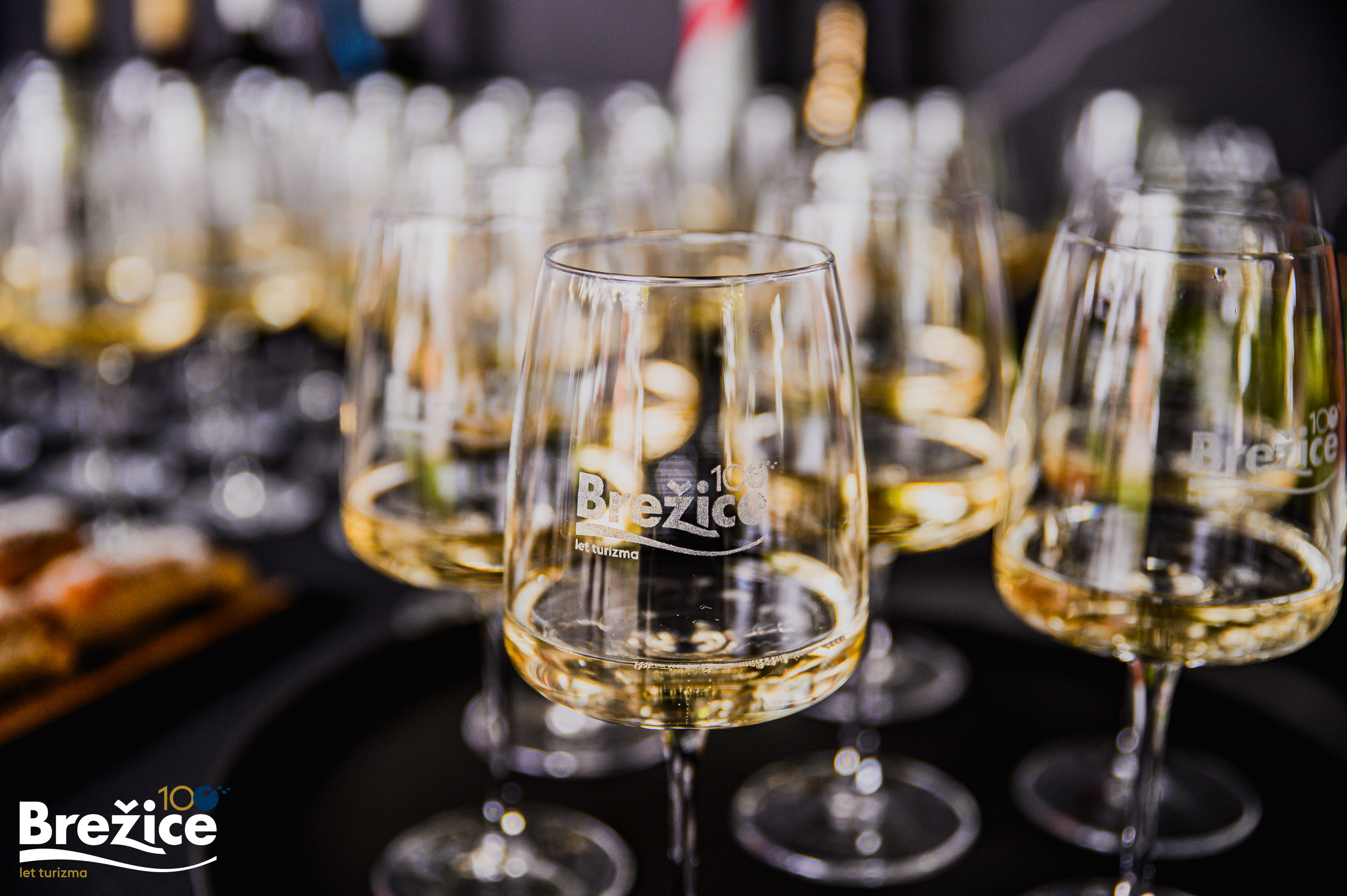 Slavnostna otvoritev Turistično informacijskega centra Čatež ob Savi