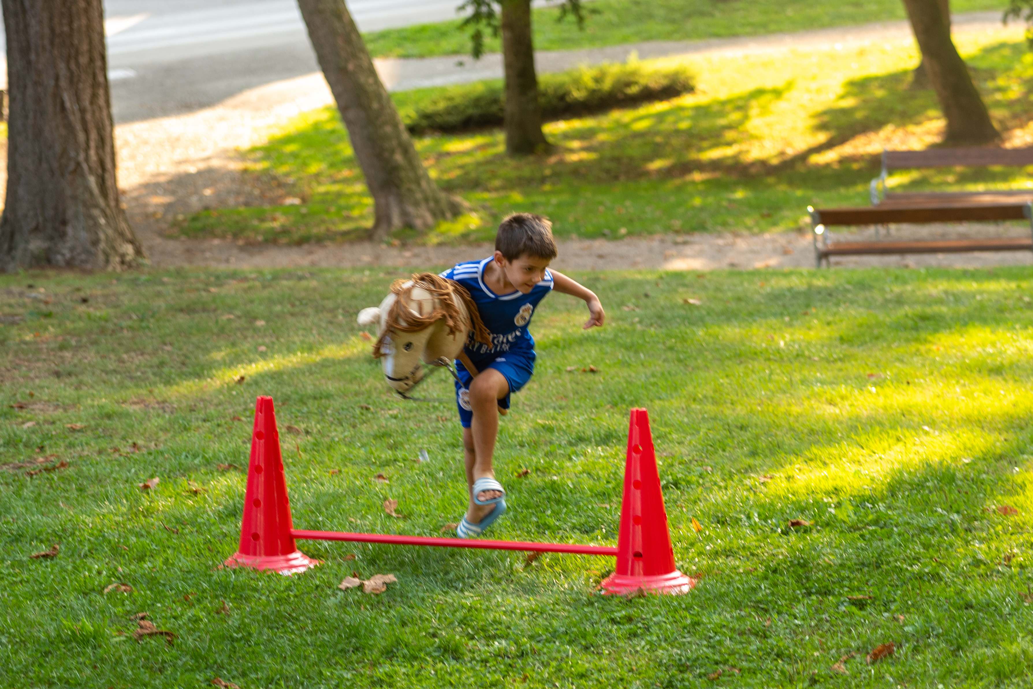 Dan za družine 2025