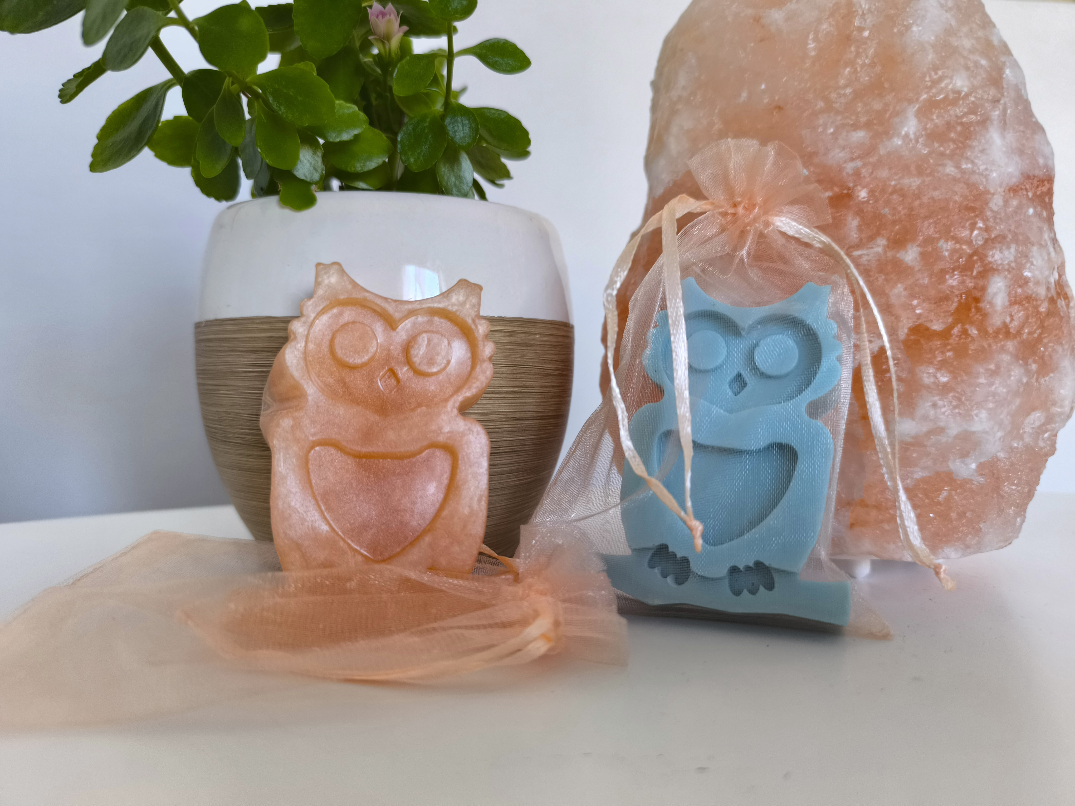 Delavnica vlivanja mil