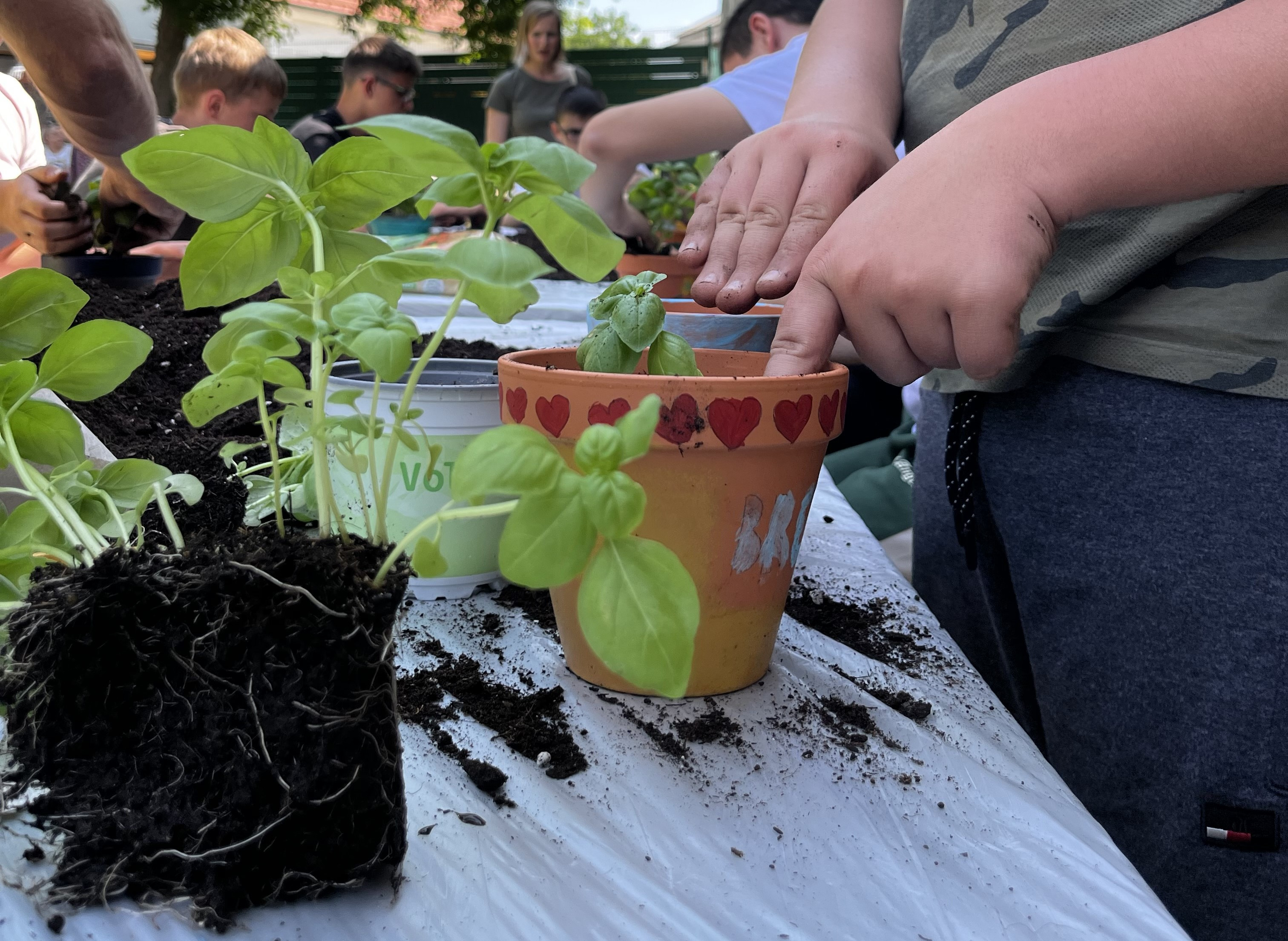 Diši po zeliščih in ustvarjalnosti
