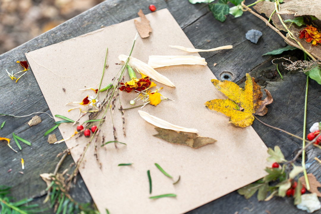 Dogodki in aktivnosti v septembru