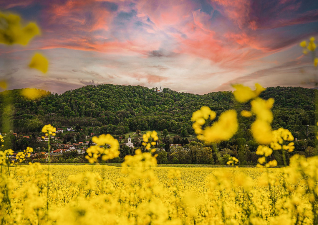 Poletje priložnosti