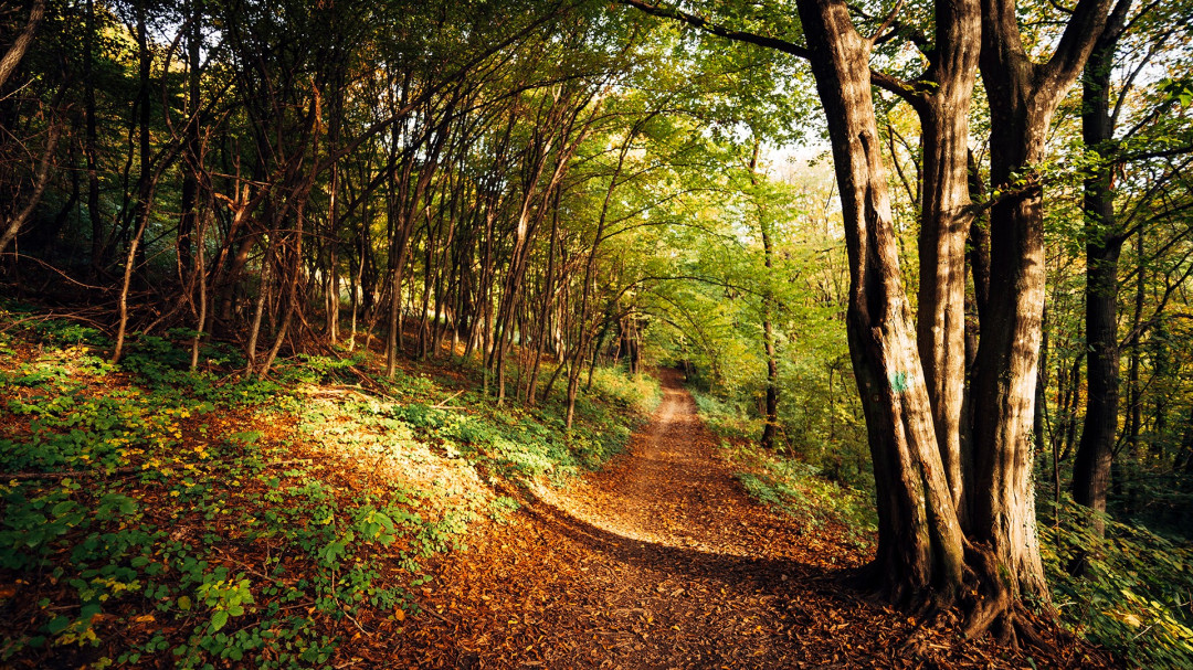 311108144_547046260759230_416854684085398279_n