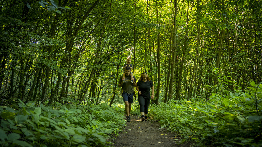 40. pohod po Brežiški planinski poti