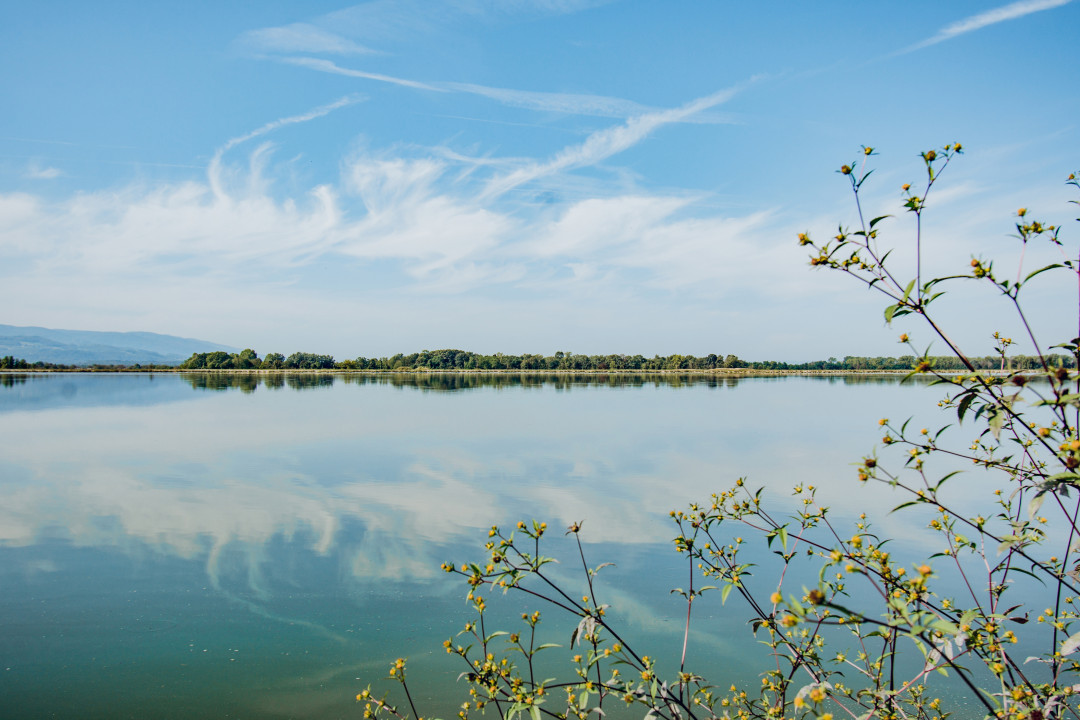 43rd World Club Fishing Championship on the Sava River