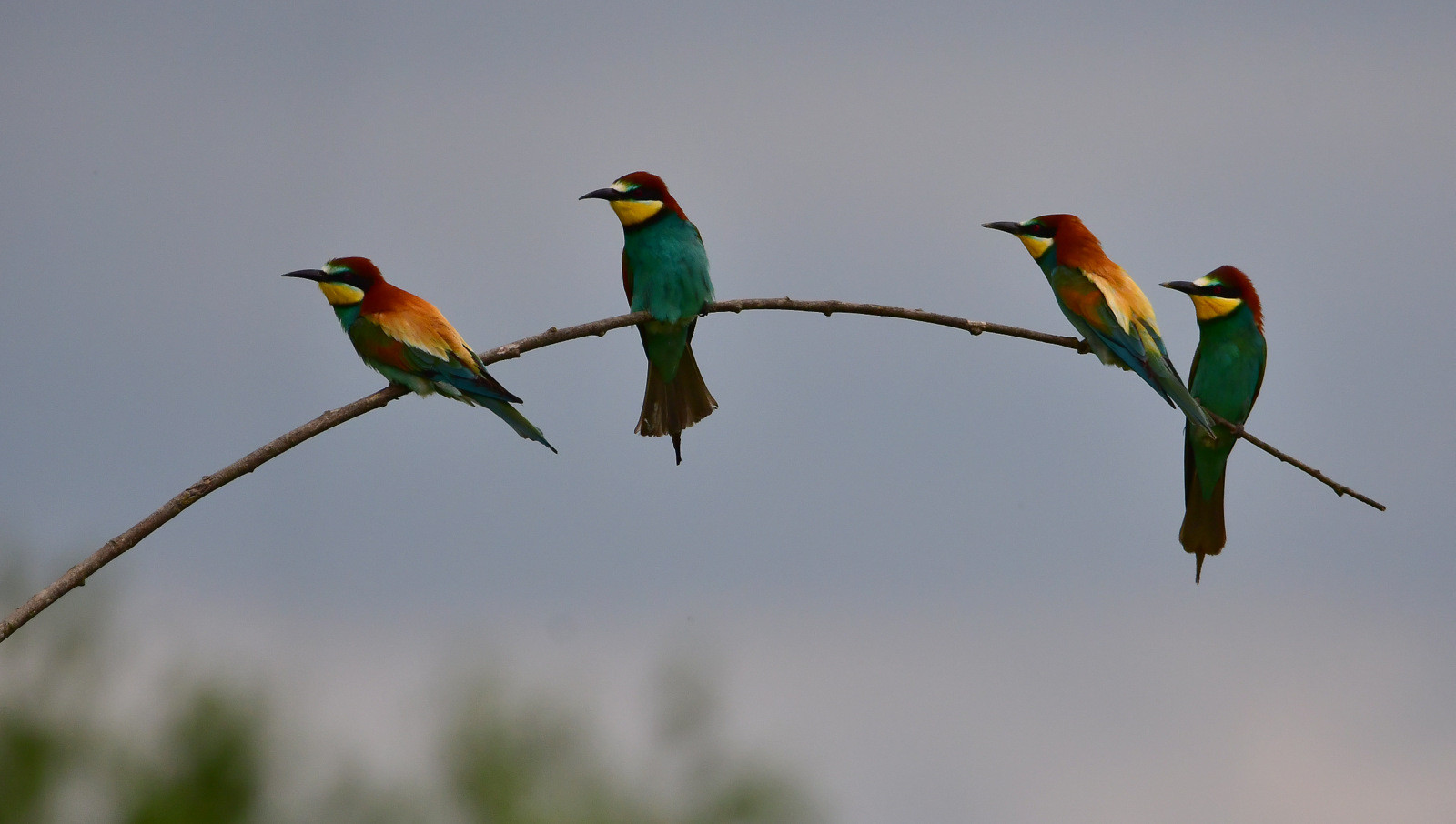 443734719_10227520552493382_5289334935476873577_n