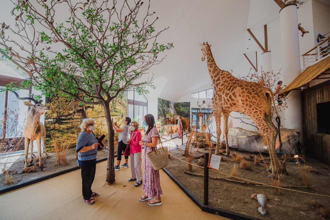 50. Srečanje lovskih pevskih zborov in rogistov