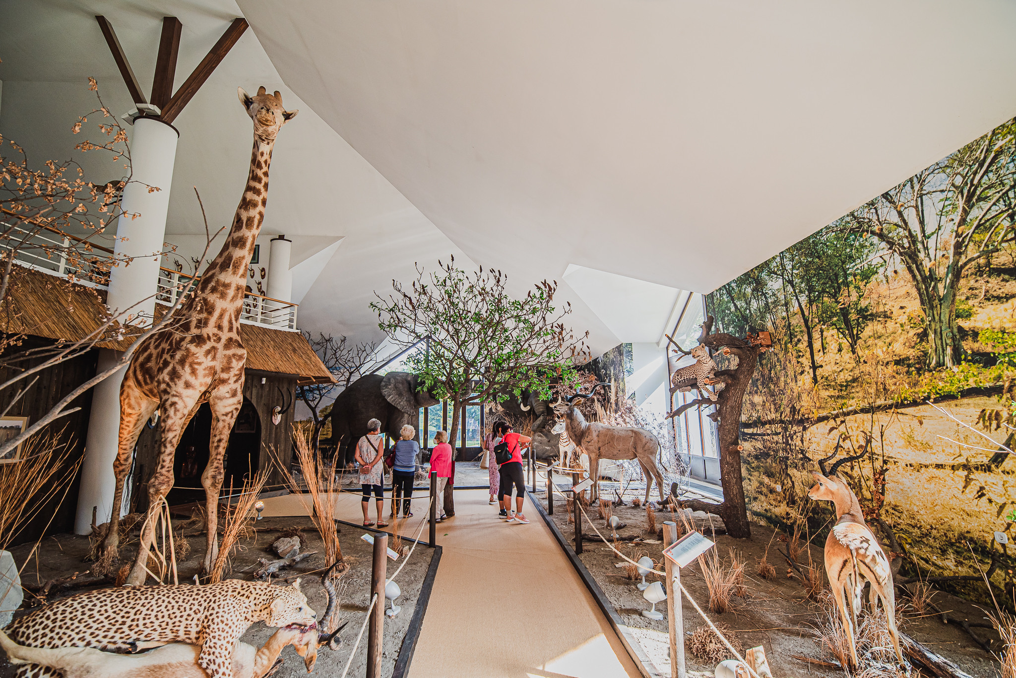 A Diverse Range of Summer Experiences Continues in August