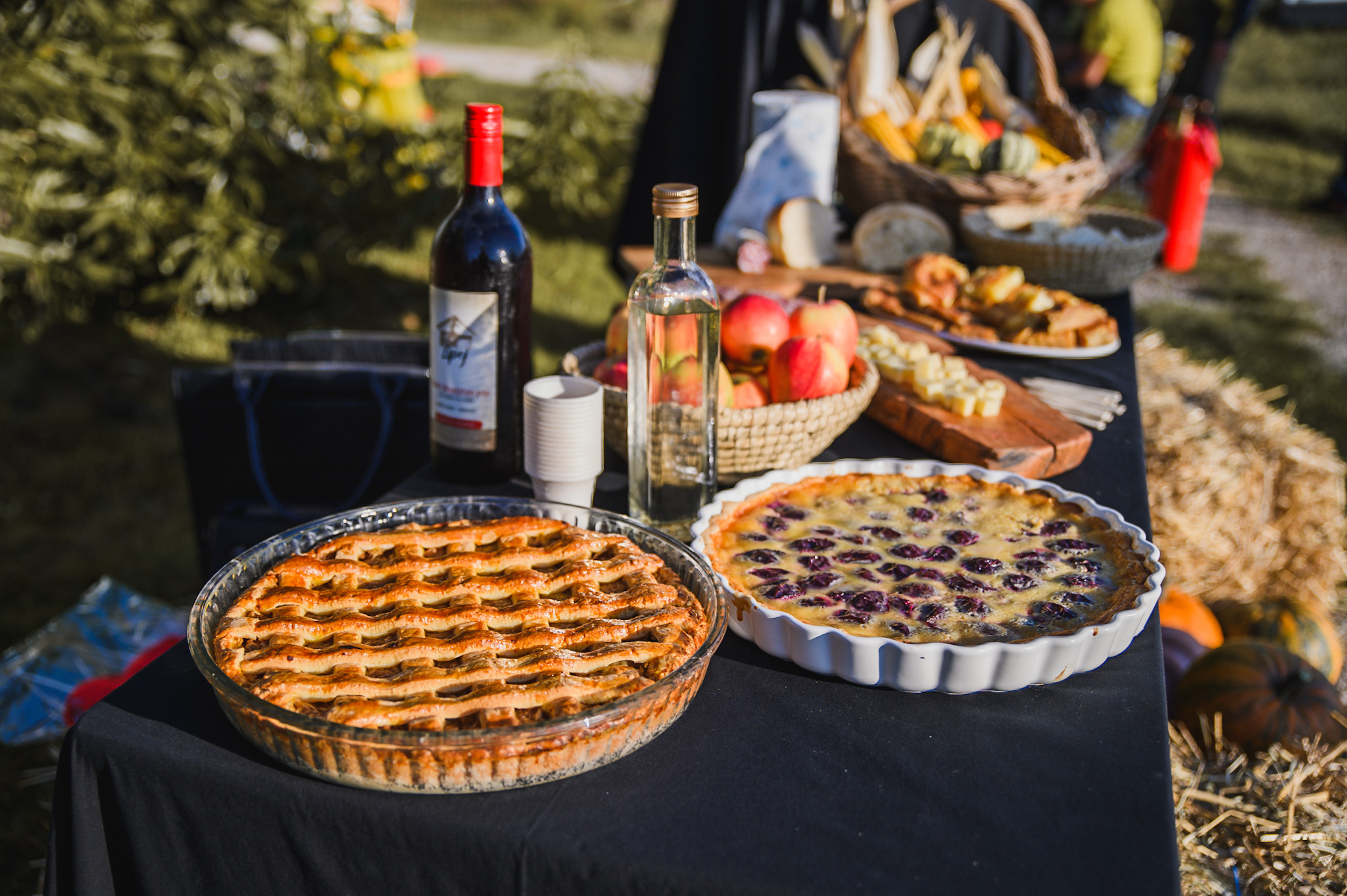 Aktivna nedelja na Banovi domačiji navdušila vse generacije