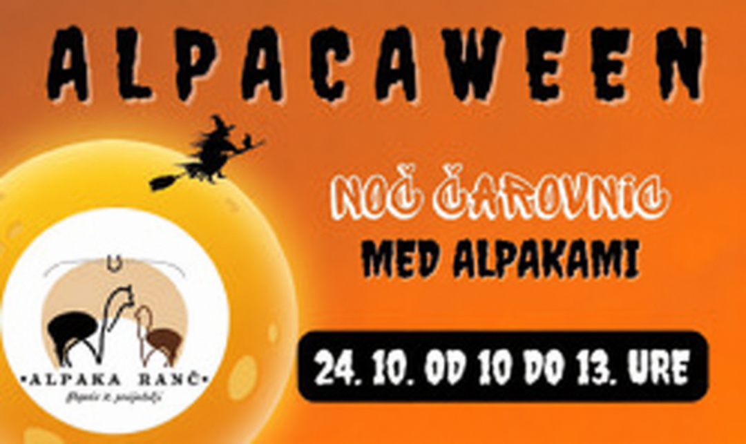Alpacaween - noč čarovnic na Alpaka ranču Pepito in prijatelji