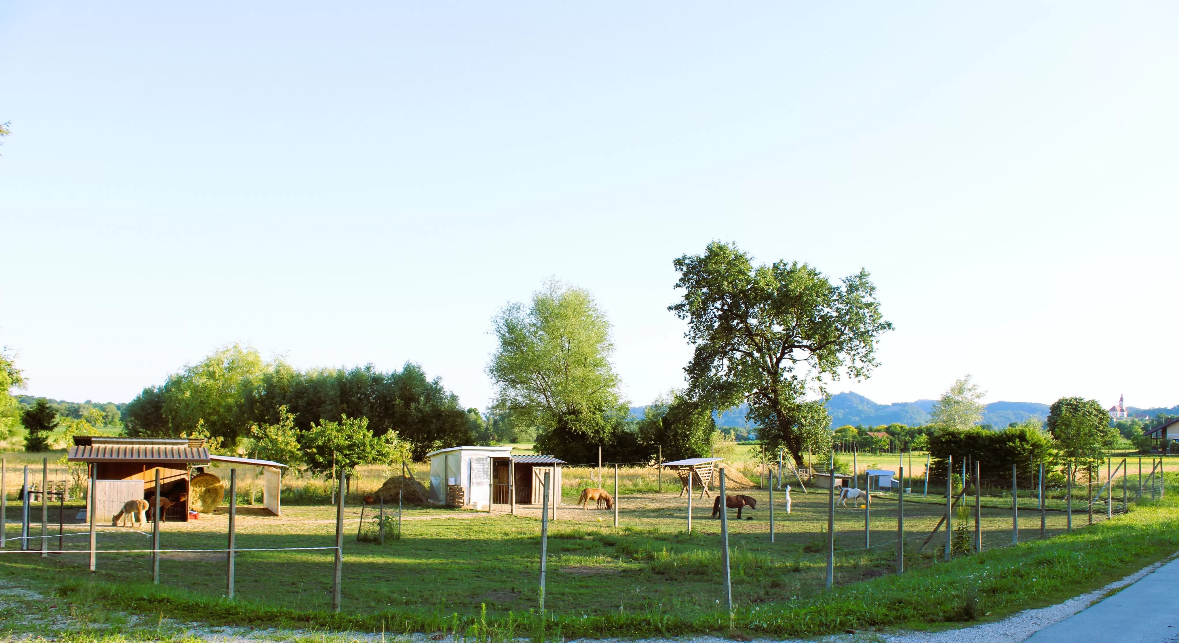 Alpaka ranč Pepito & prijatelji