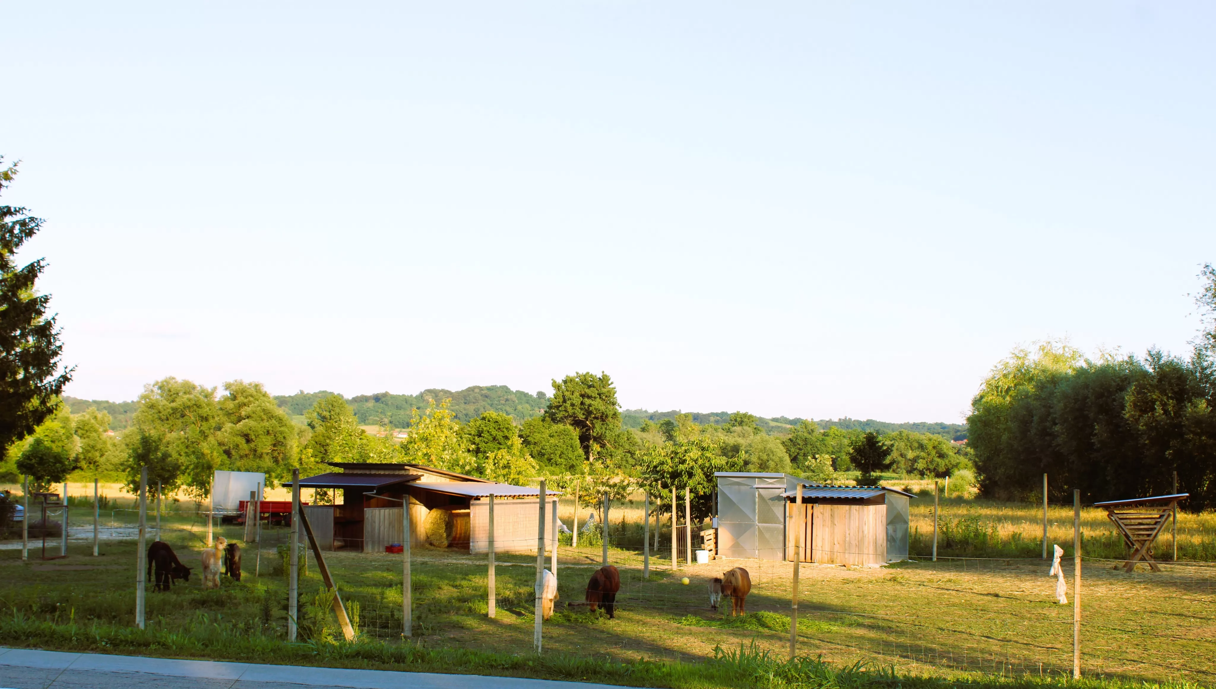 Alpaka ranč Pepito & prijatelji