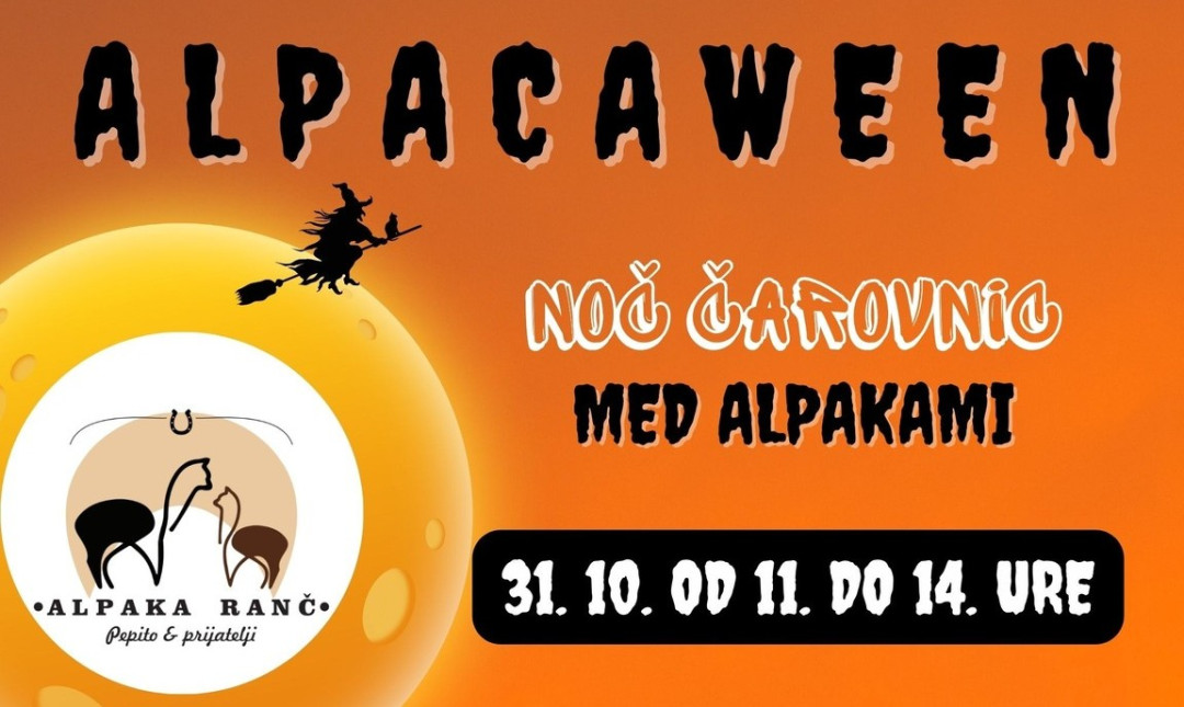 Alpakaween v dolini alpak