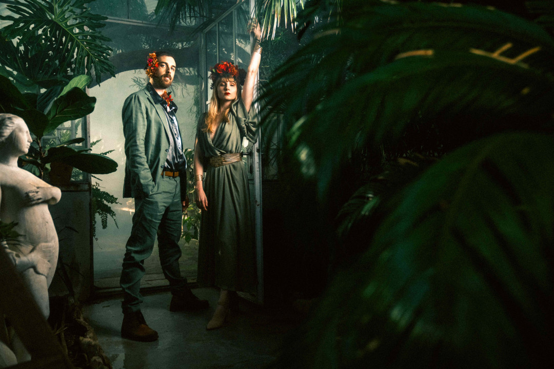 Angel’s Ex in FED HORSES