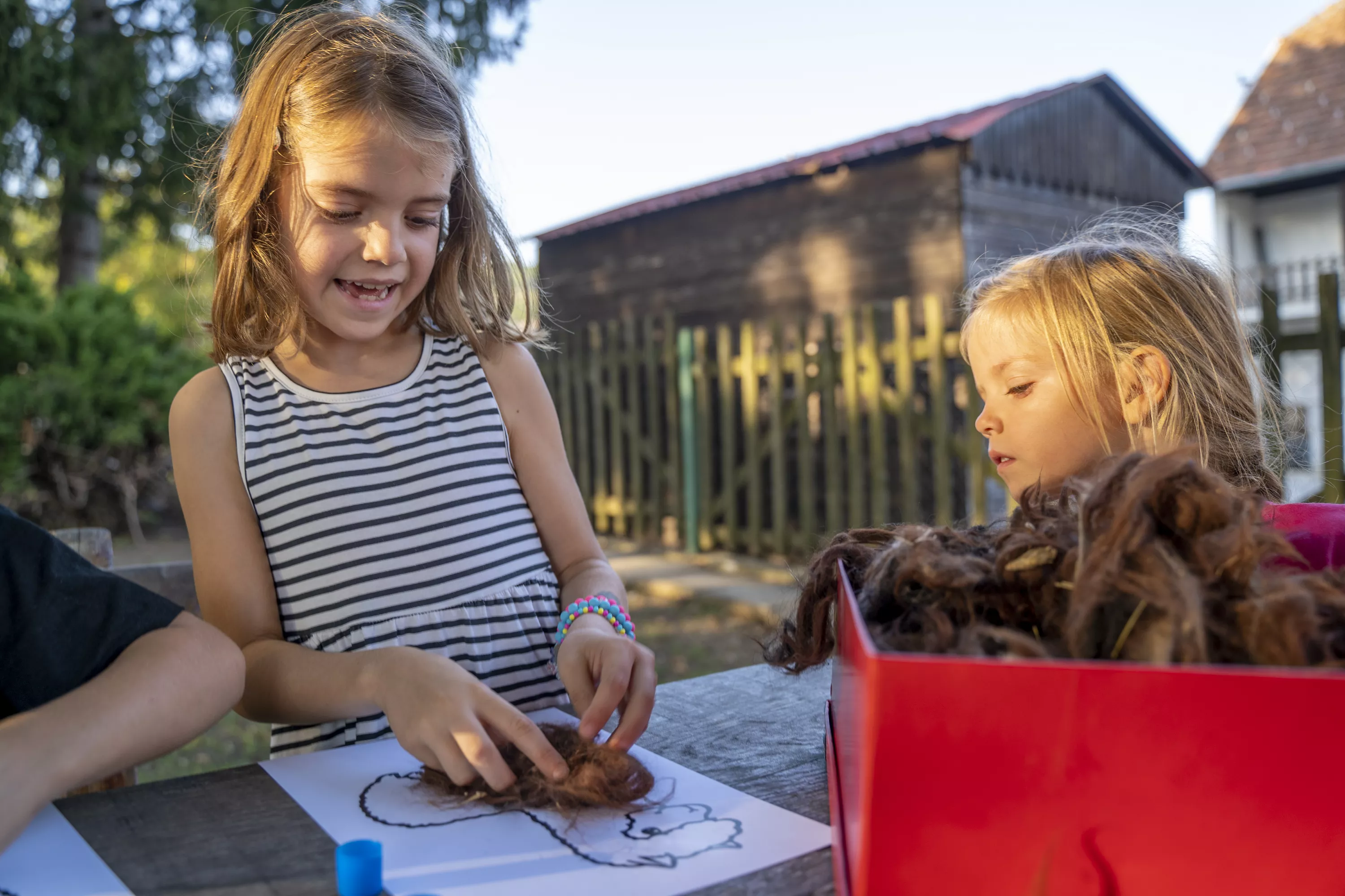 Animiran voden ogled živali in delavnice na Alpaka ranču