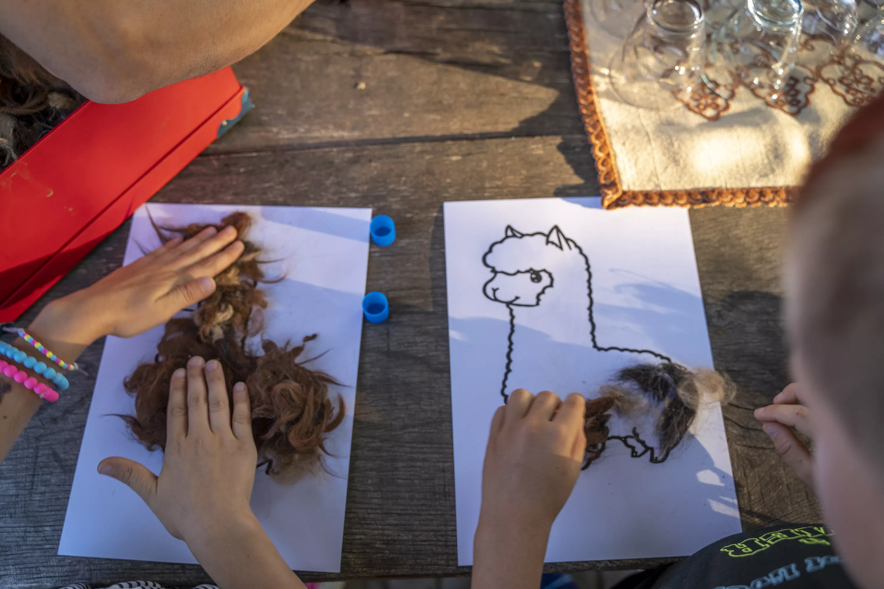 Animiran voden ogled živali in delavnice na Alpaka ranču