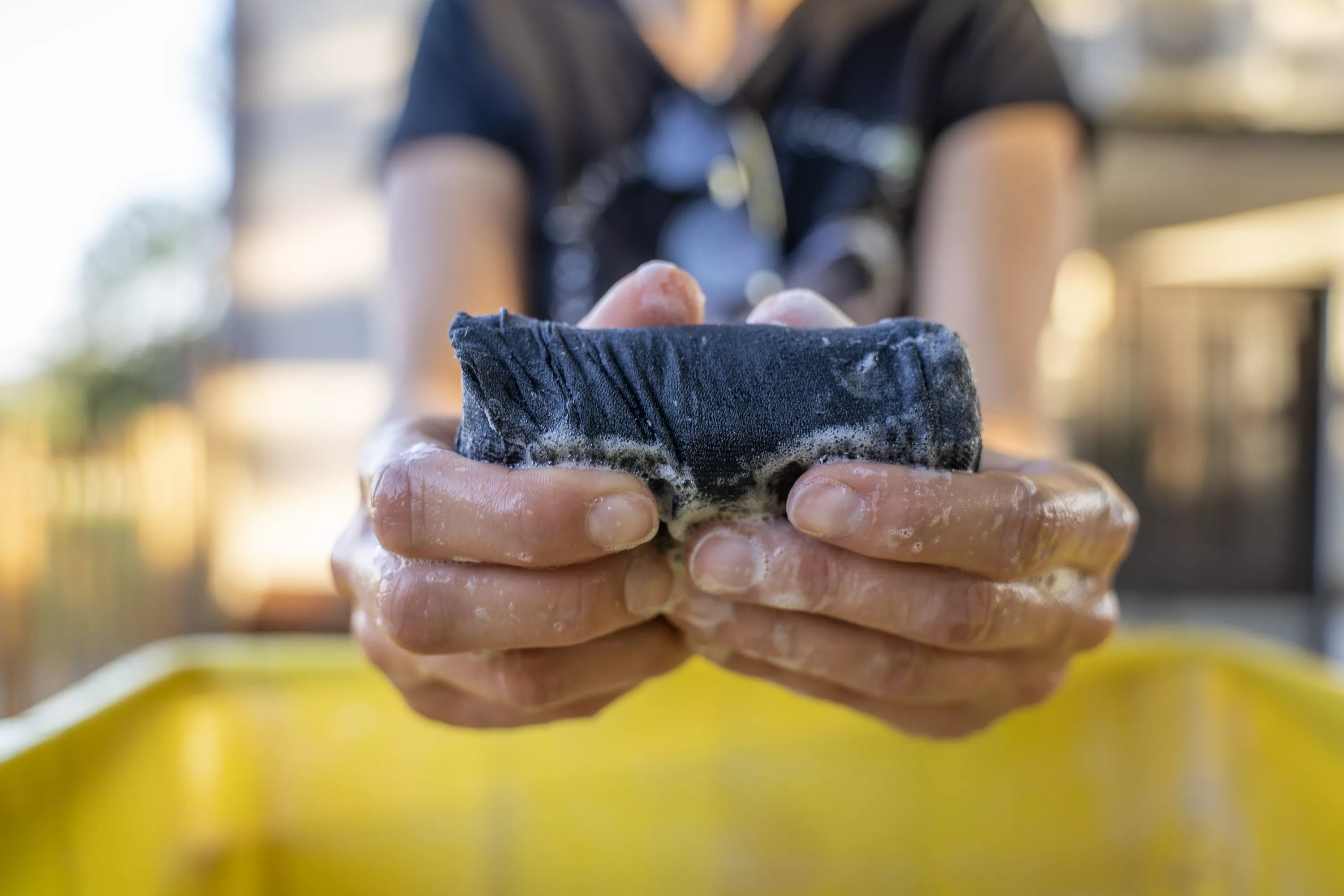 Animiran voden ogled živali in delavnice na Alpaka ranču