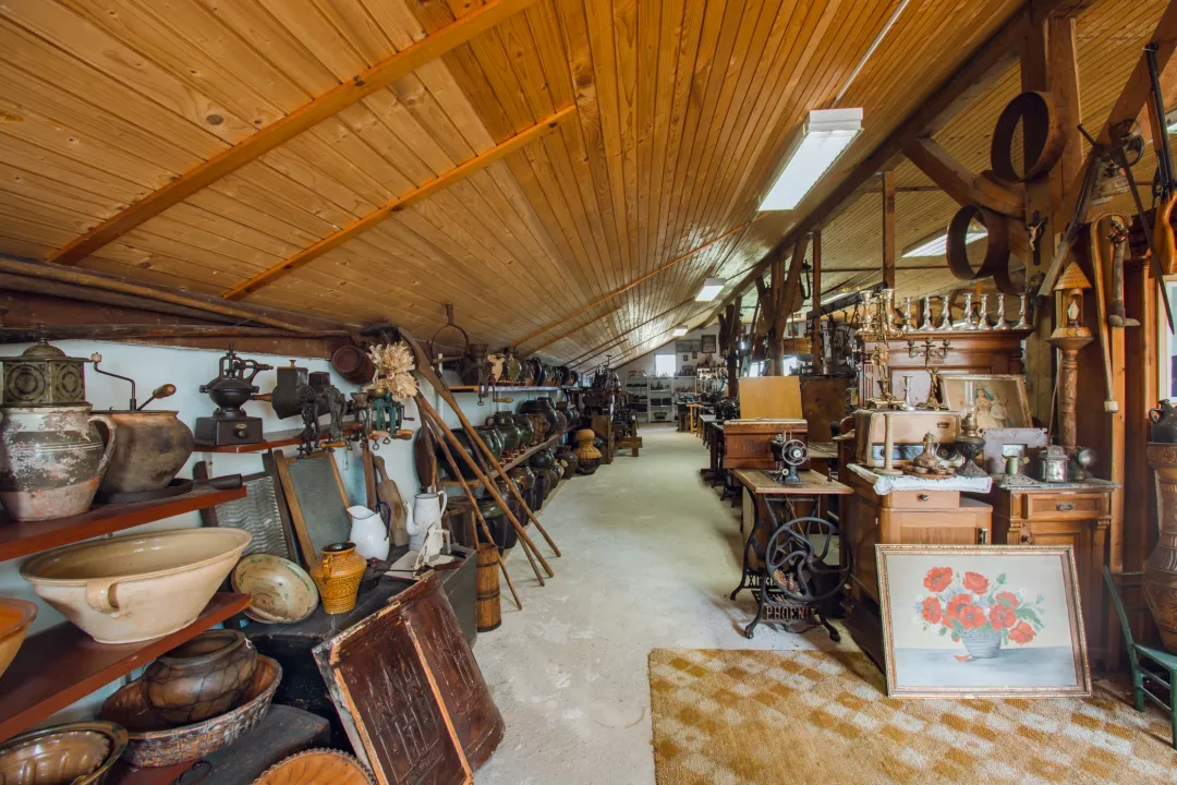 Antique Collection of Rezelj Family