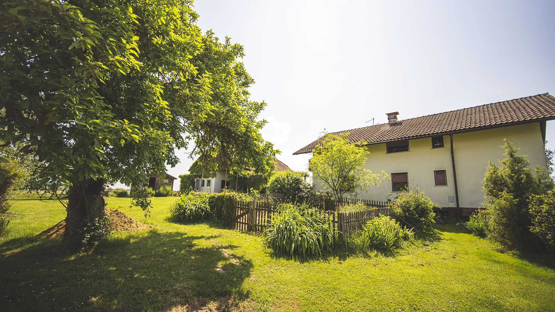 Apartma Župelefski raj