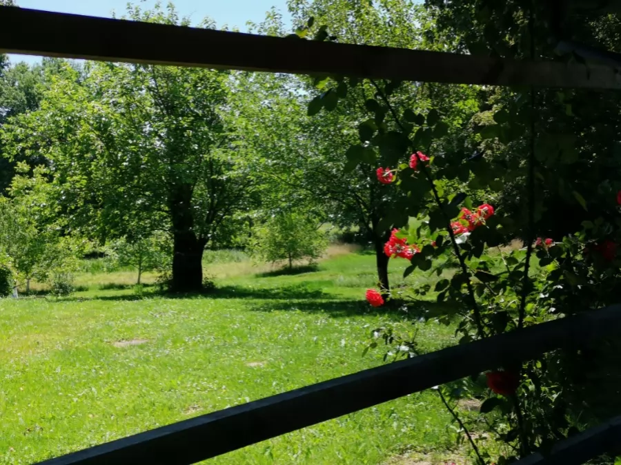 Apartmaja Vetrovi Šumijo