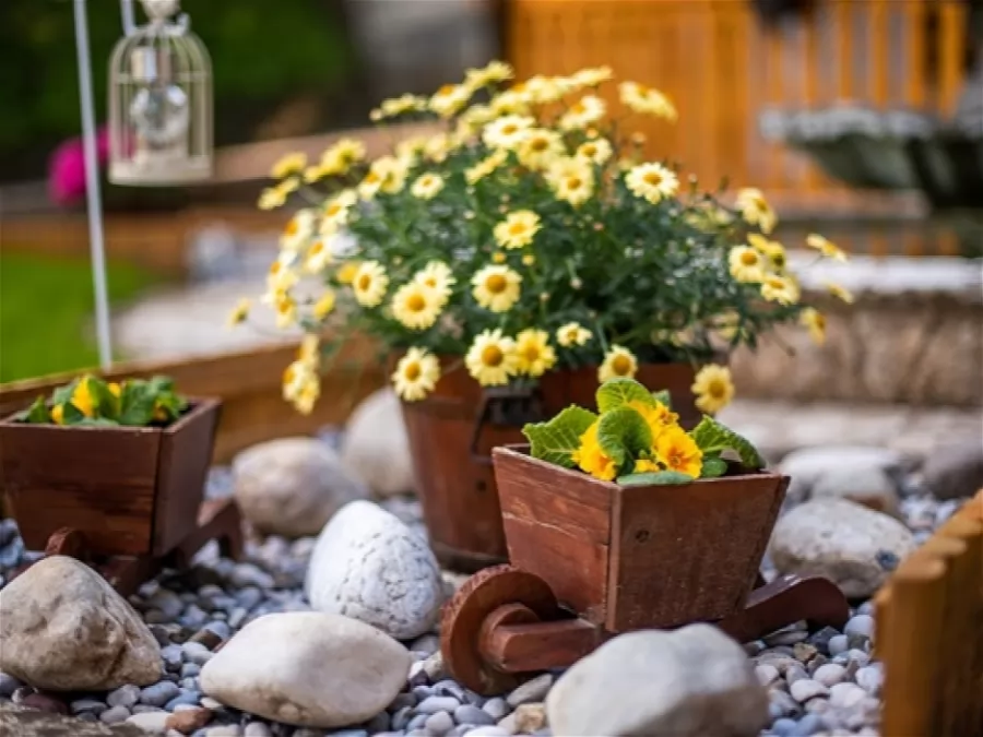 Apartmajska hiša Stankovo