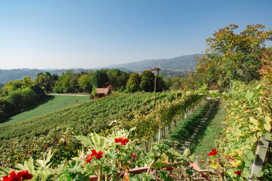 Apartmajska hiša Sumrak