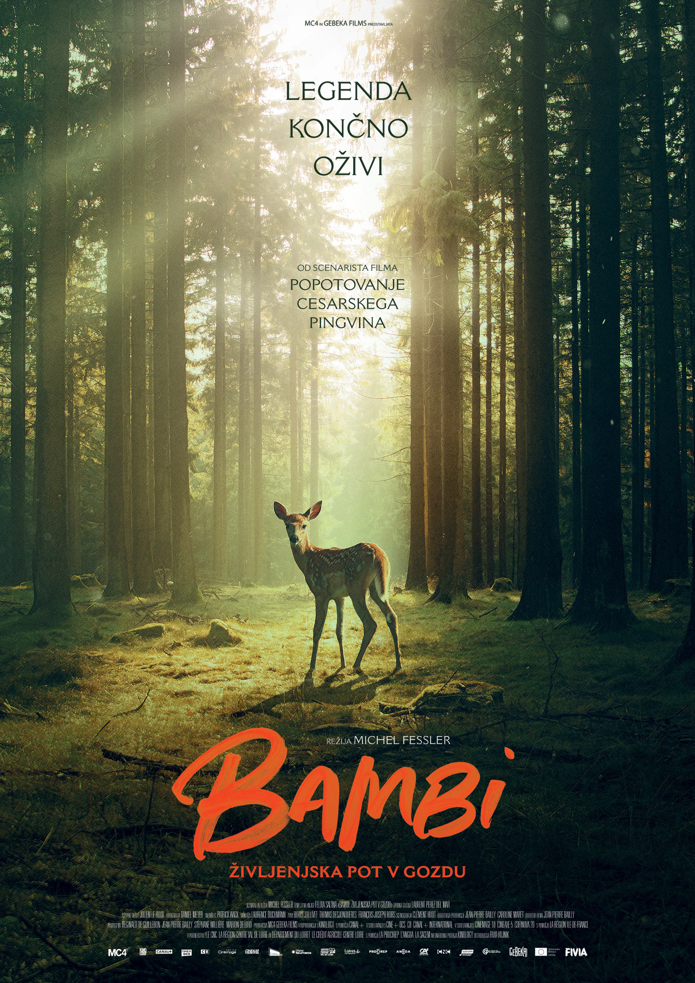 BAMBI: ŽIVLJENJSKA POT V GOZDU (Bambi, l’histoire d’une vie dans les bois)