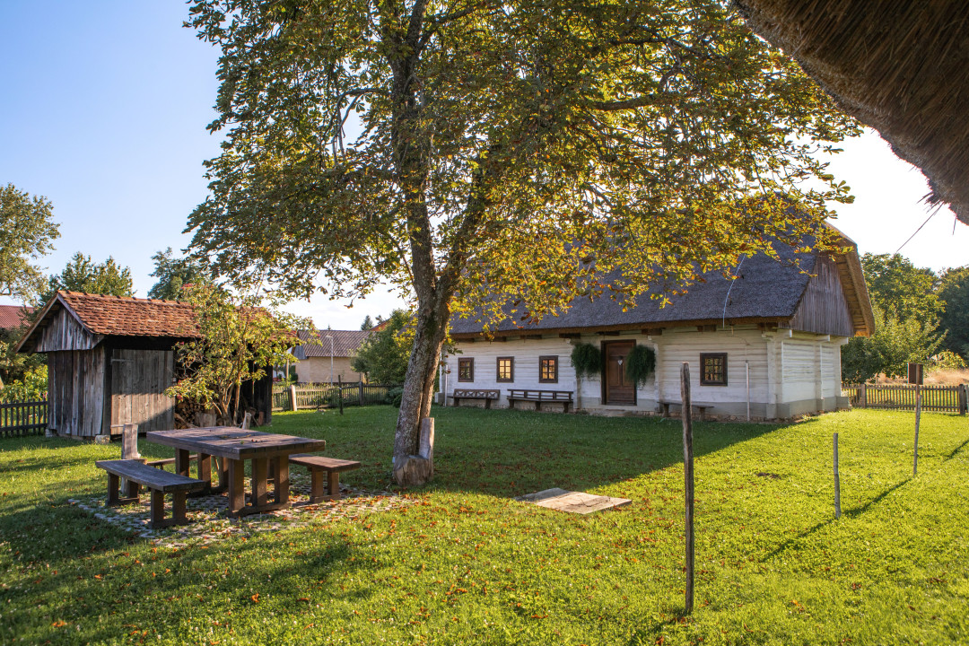 Banova domačija – dediščina v primežu narave in podnebnih sprememb