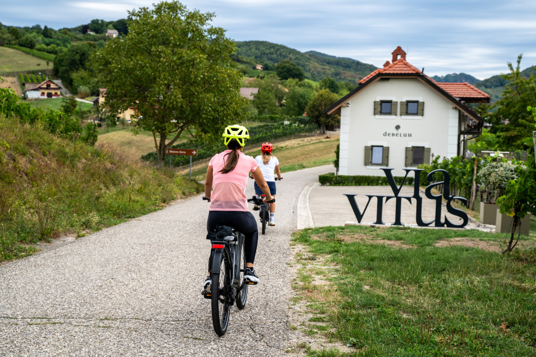 Bizeljska pentlja-od trte do doživetja