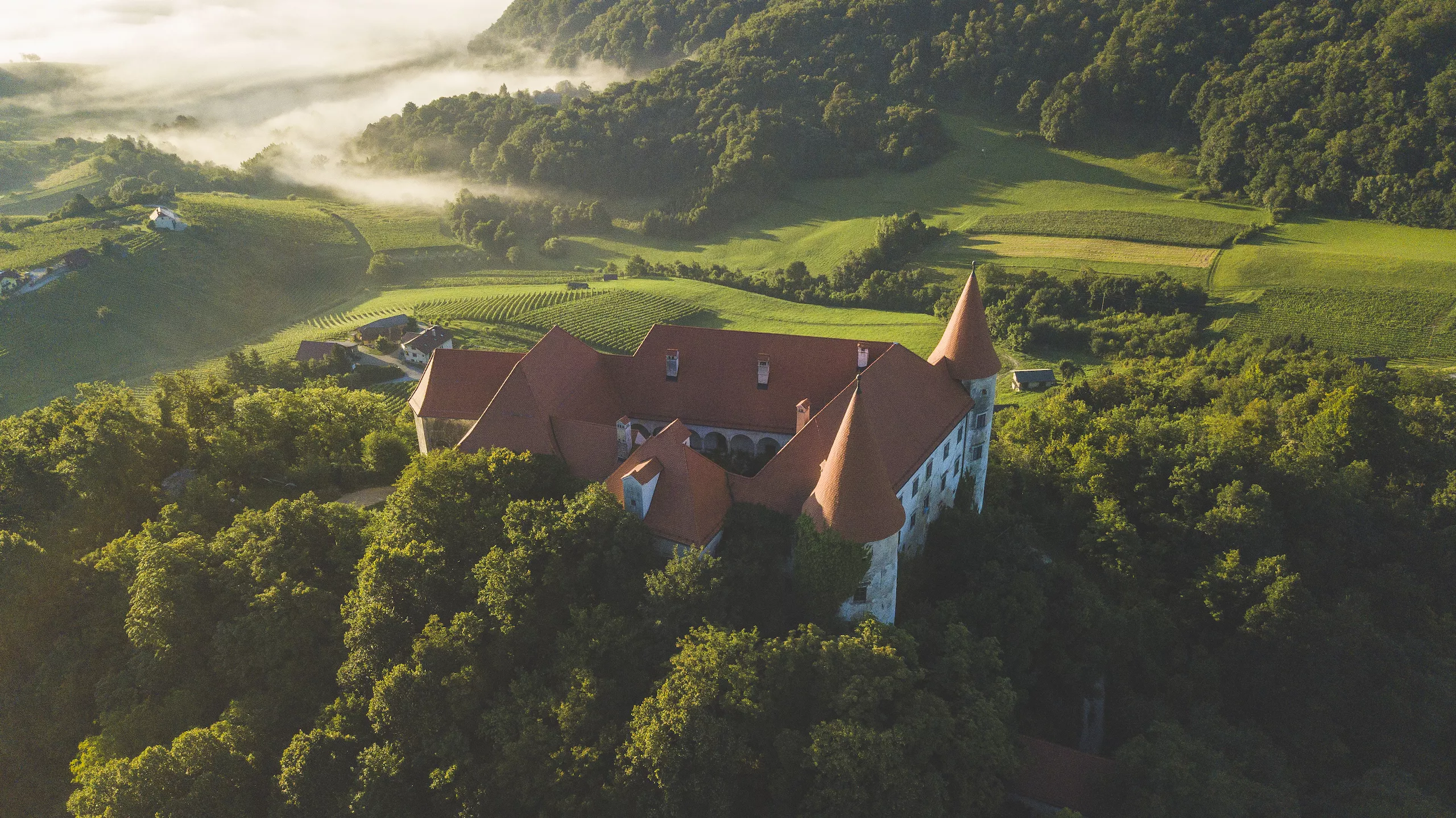 Bizeljsko Castle from the air