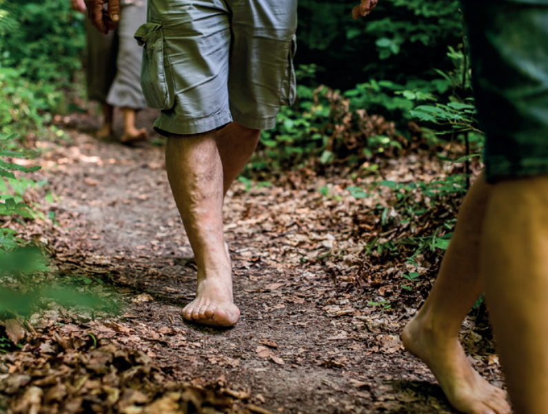 Bosonogi pohod na Sv. Vid