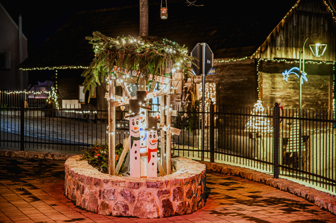 Božični koncert KUD Anton Kreč Čatež ob Savi