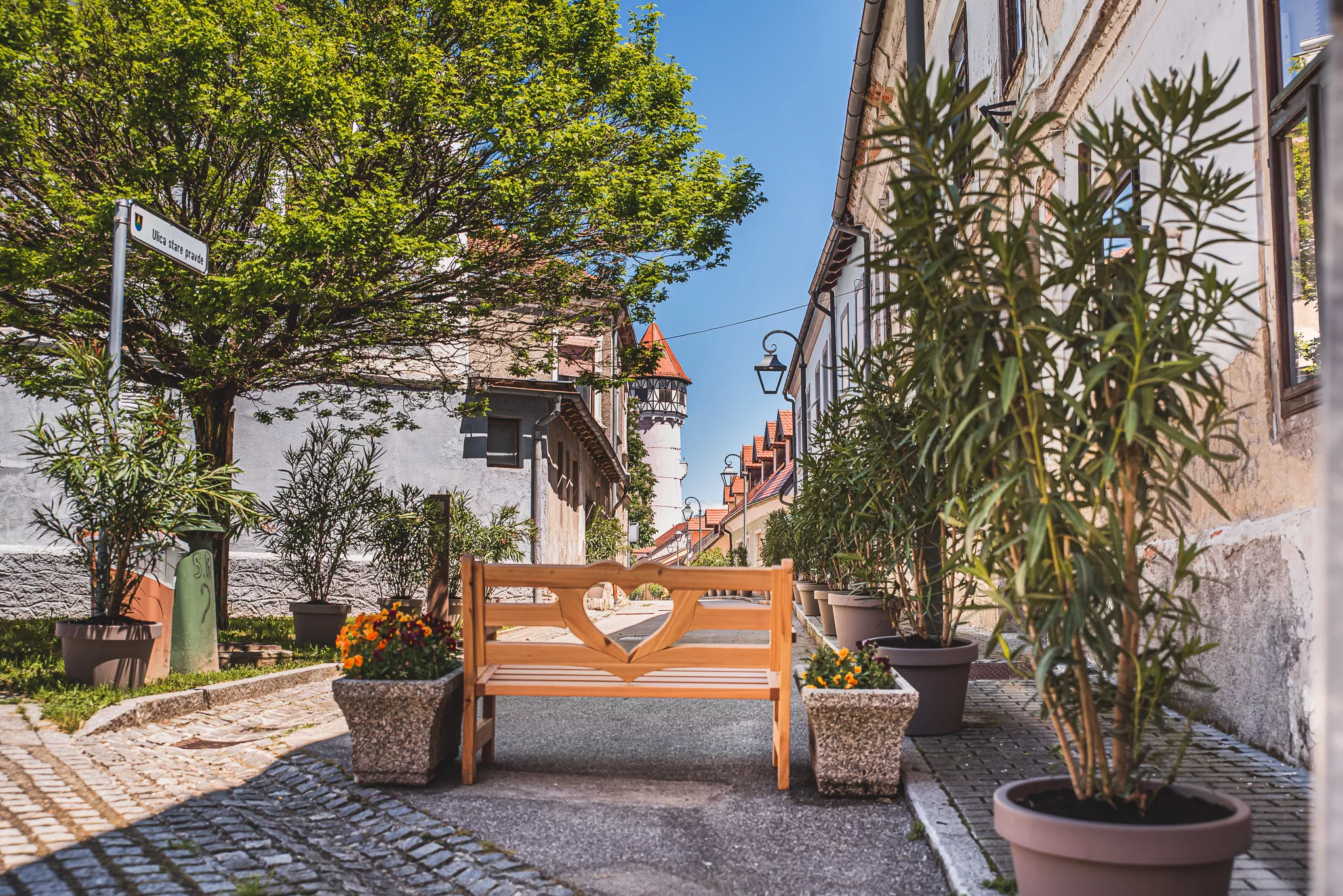 Pot ljubezni - Gasa Brežice