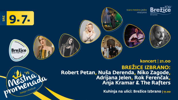 BREŽICE IZBRANO:  otvoritveni večer z izbranimi brežiškimi glasbeniki