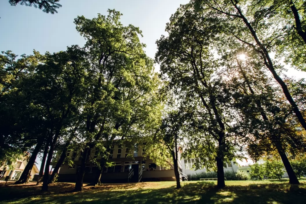 Brežiški mestni park