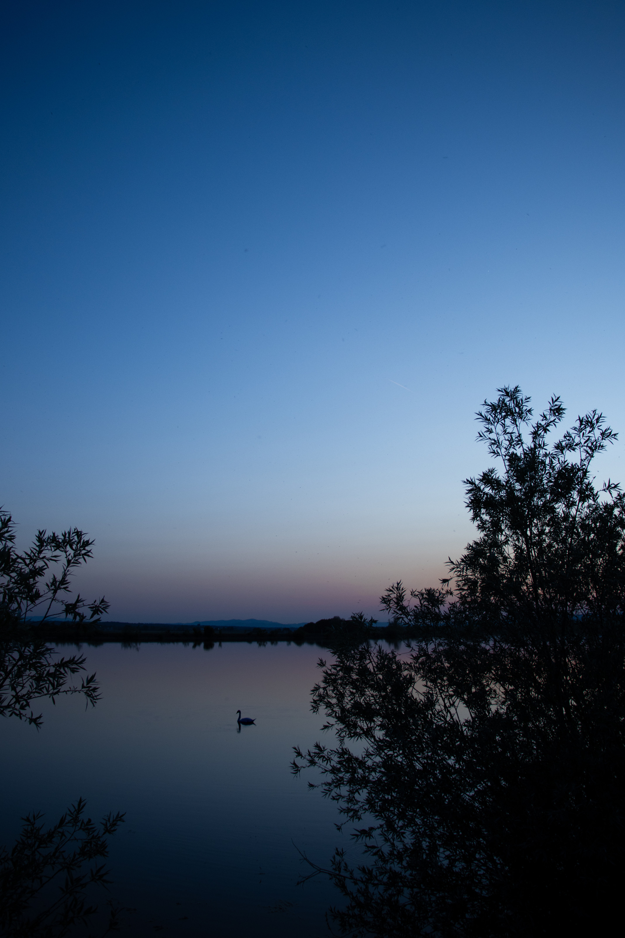 Brežiško jezero in Vrbina