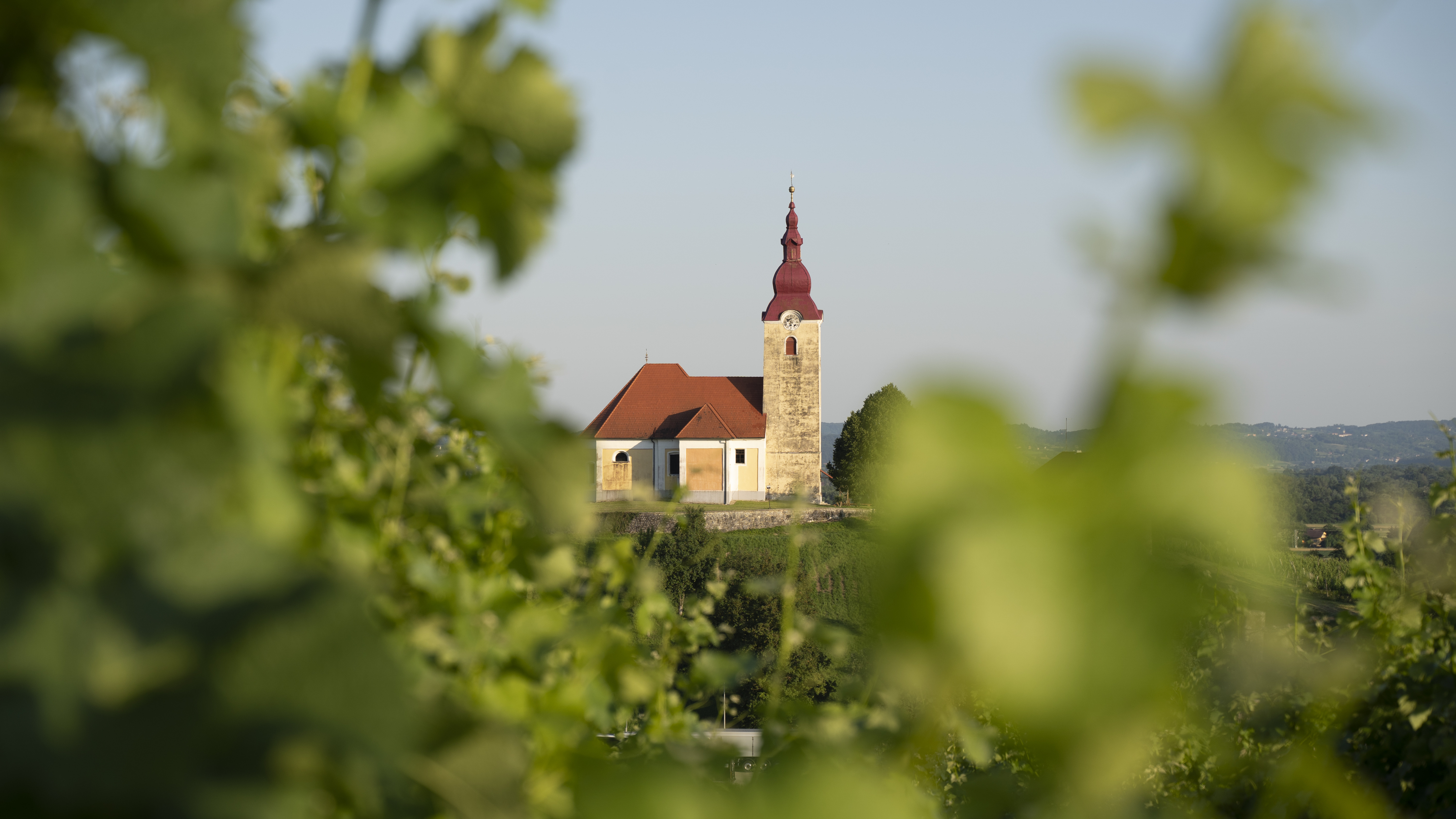 Cerkev sv. Lovrenca na Bizeljskem