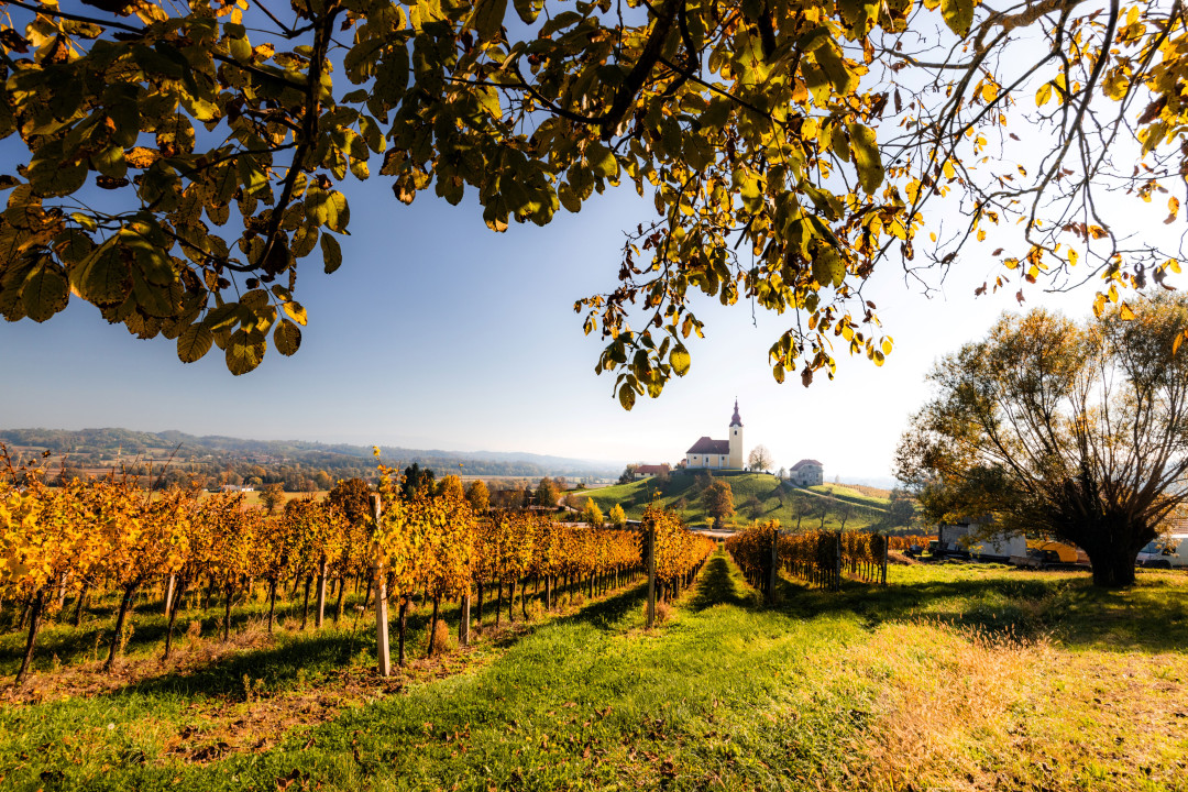 Cerkev sv. Lovrenca na Bizeljskem