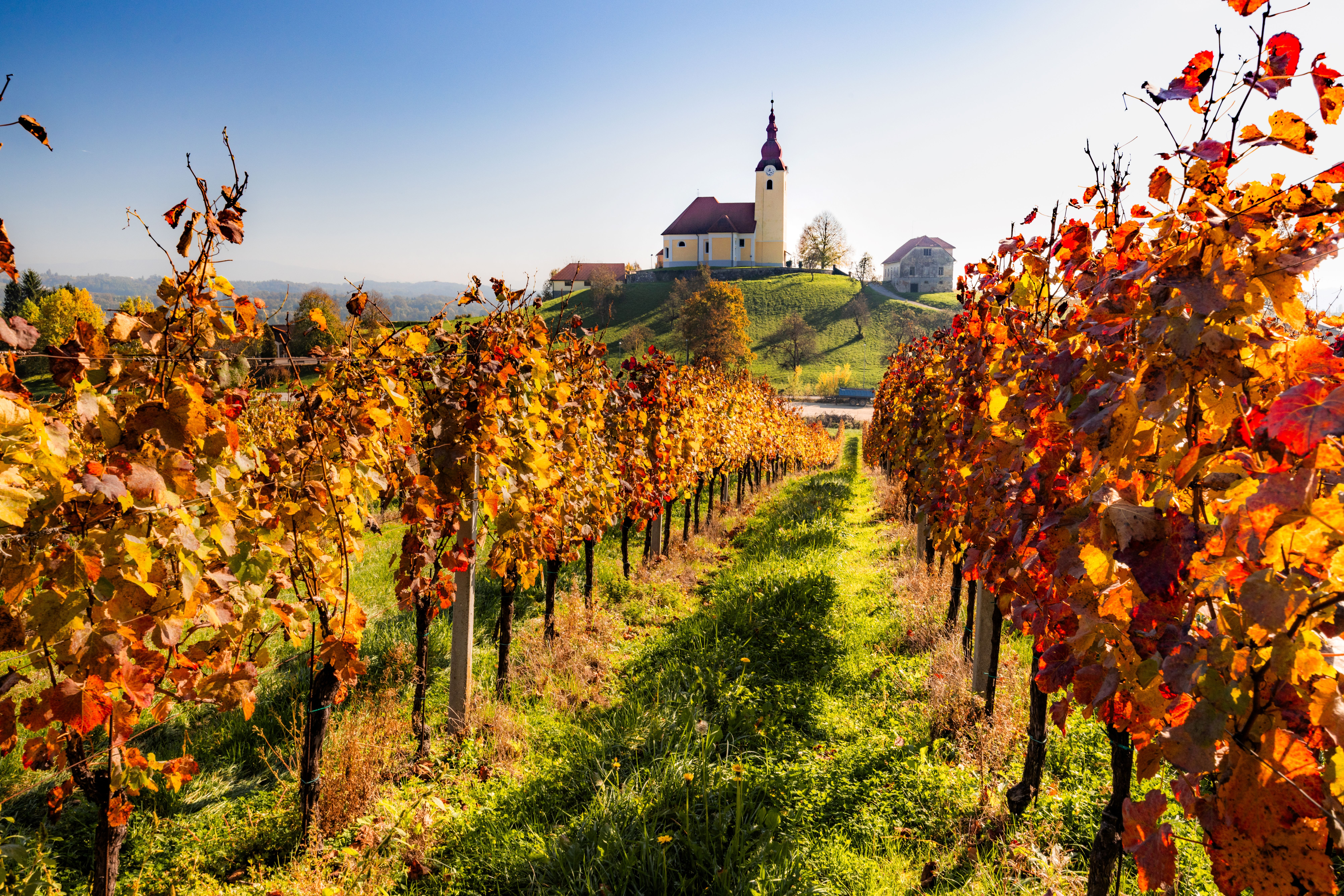 Cerkev sv. Lovrenca na Bizeljskem
