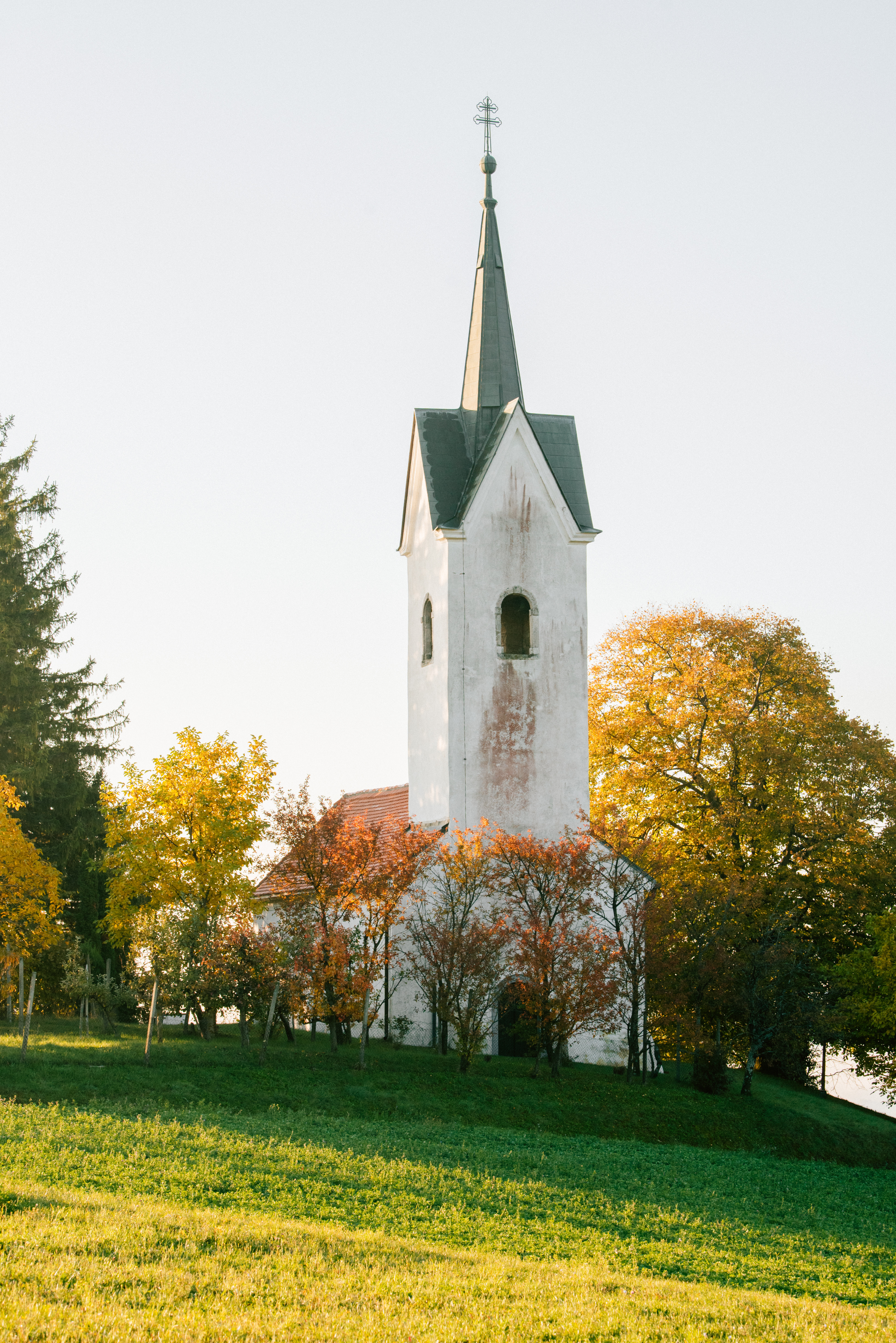 Cerkev sv. Vida na Bizeljskem