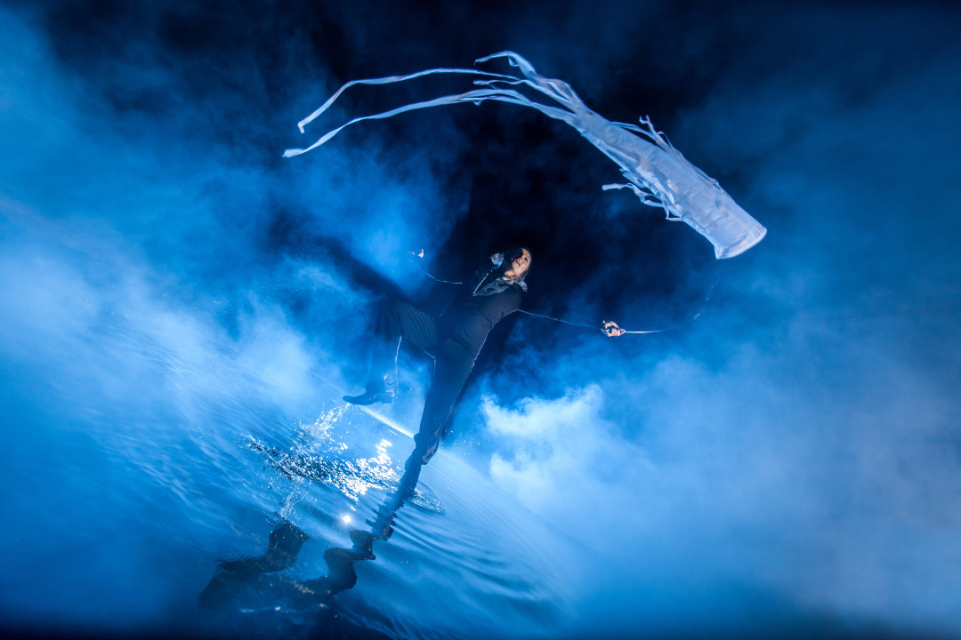 Čupakabra: Svetlobna poezija