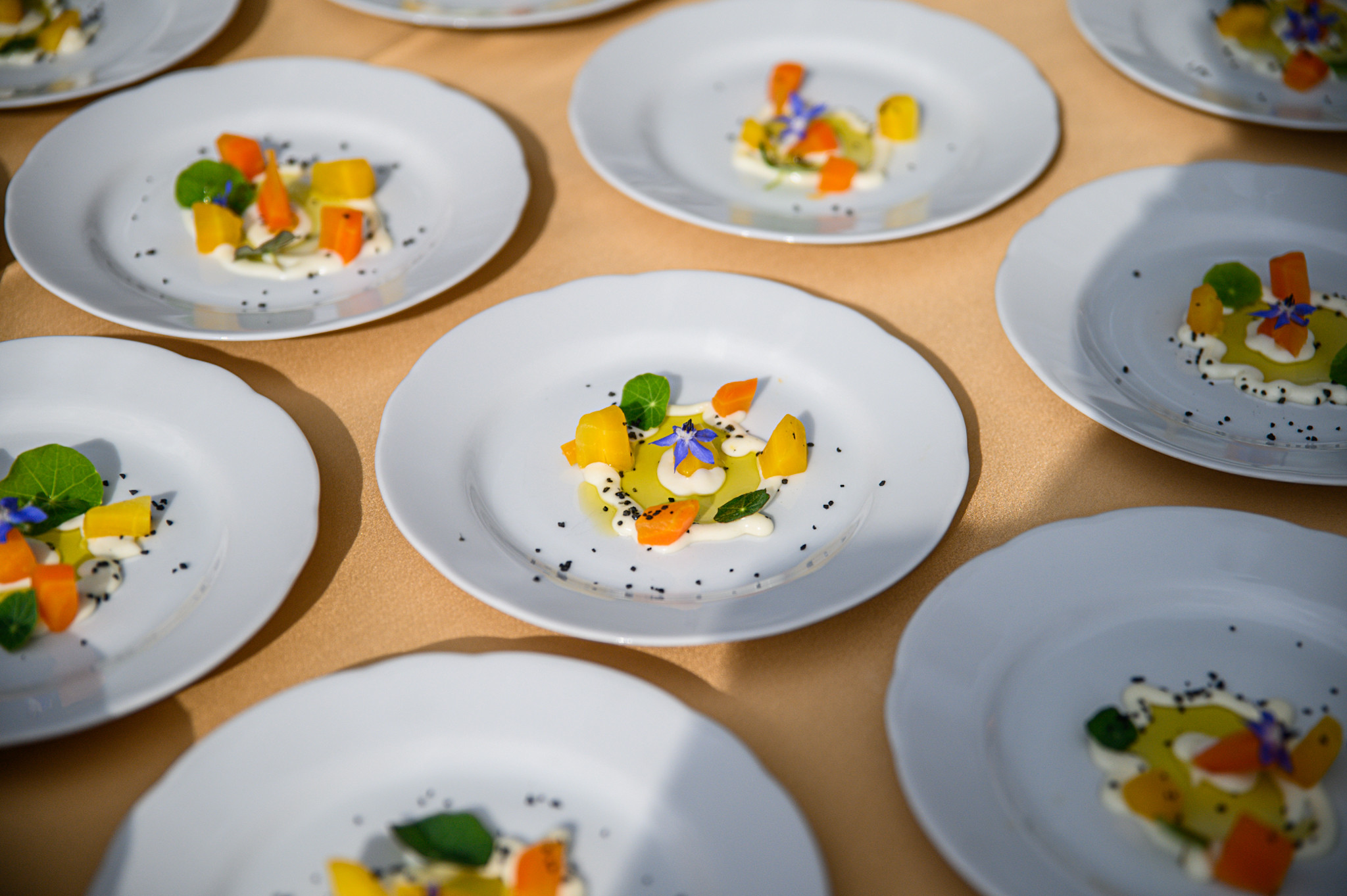 Dan turizma 24 novinarska-15