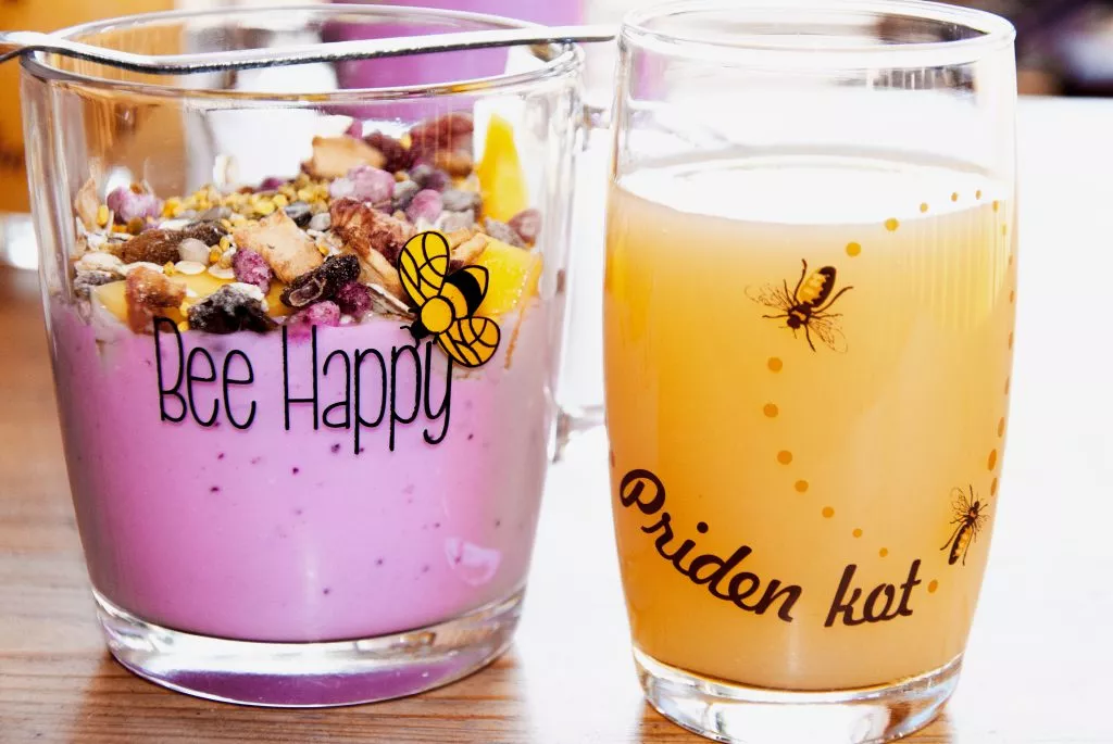 Glamping resort Honey Paradise