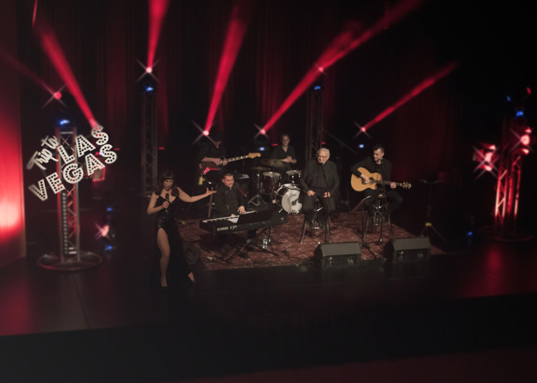 Glasbena standup predstava: Trip to Las Vegas Show