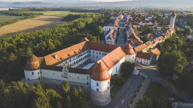 Prva nedelja v muzeju: Vino skozi zgodbo