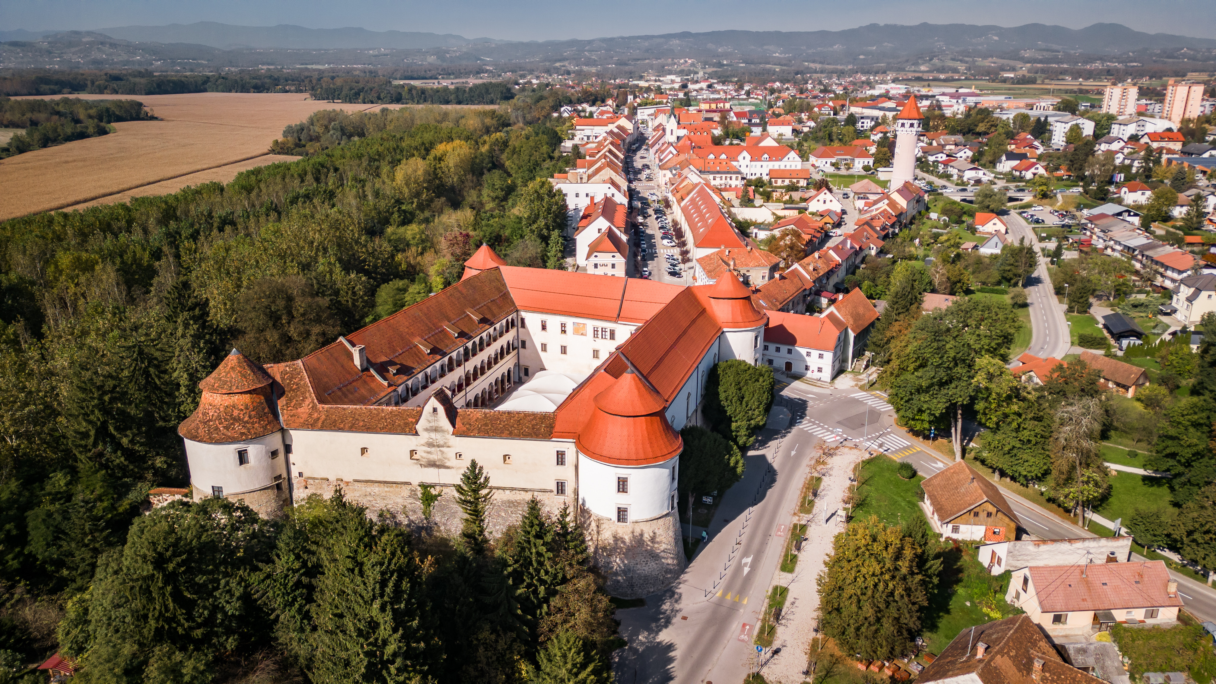 Grad Brežice